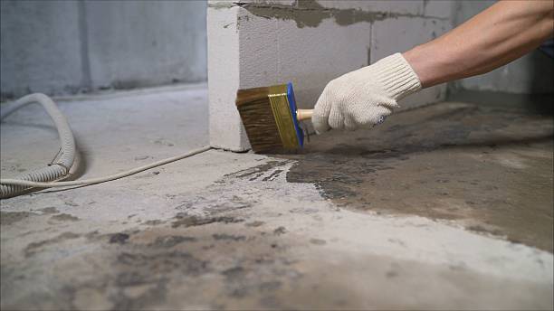 Top rated local Waterproofing specialists in Luttrell, TN